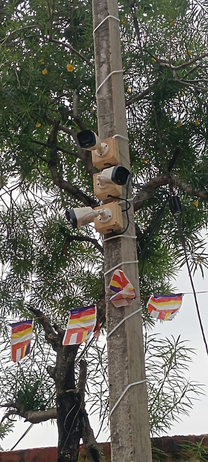 CCTV व्यवस्थापन