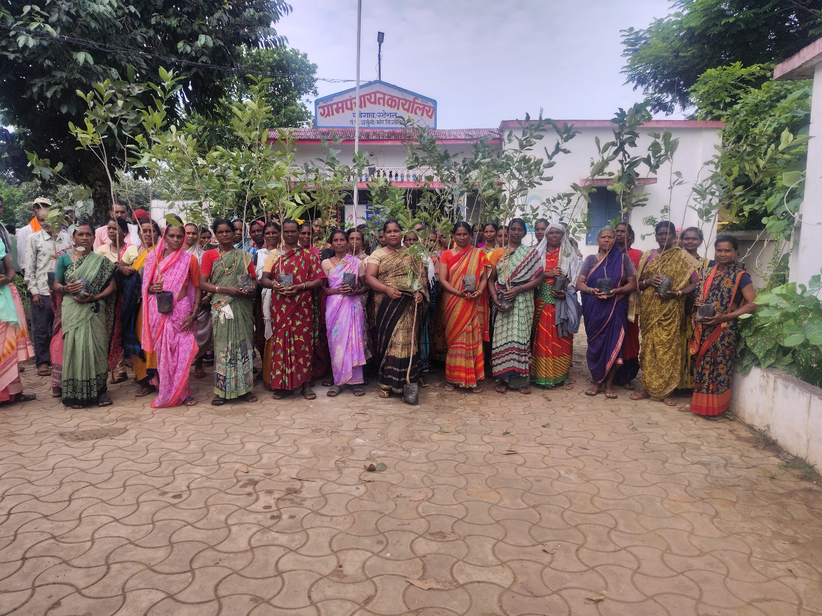 पिढ्यान्पिढ्यांसाठी वृक्षारोपण